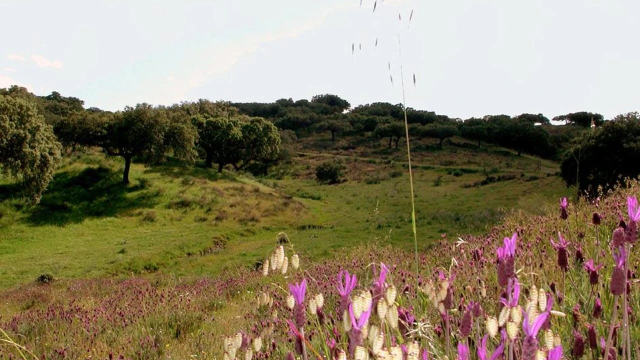 Coria en cinco rutas: un viaje por la esencia natural de Extremadura