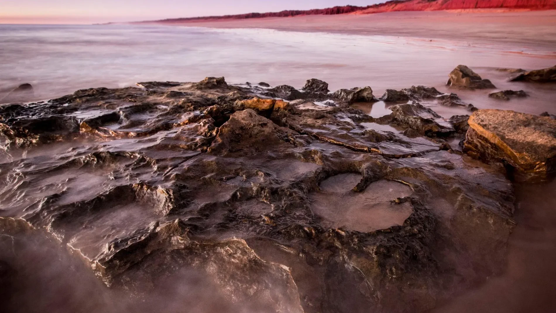 Un yacimiento cerca de España con 552 huevos de dinosaurio revela millones de fósiles enterrados hace 76 millones de años