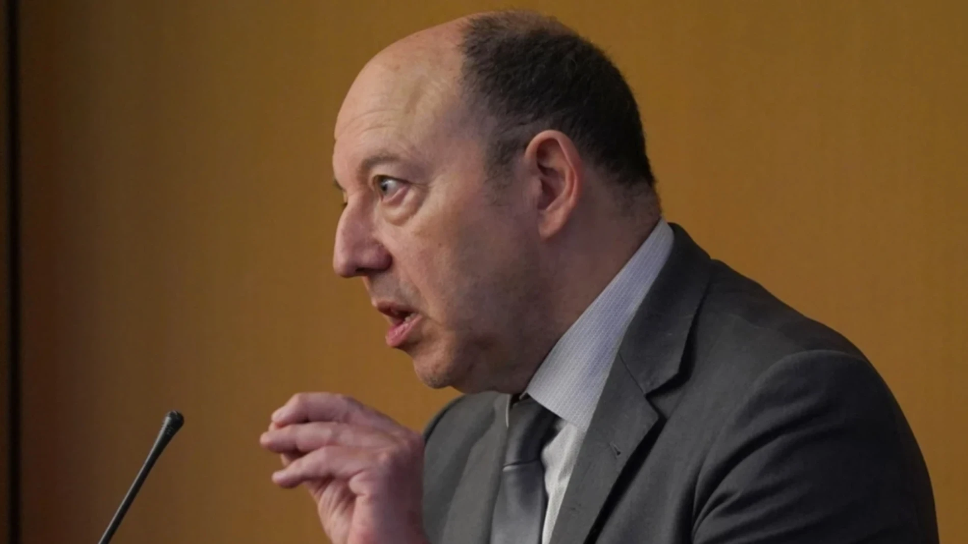 Gonzalo Bernardos, economista: 