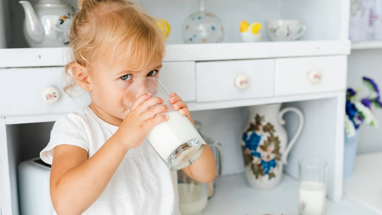 Leche y alimentos lácteos en la infancia y la adolescencia: inversión nutricional en salud pública