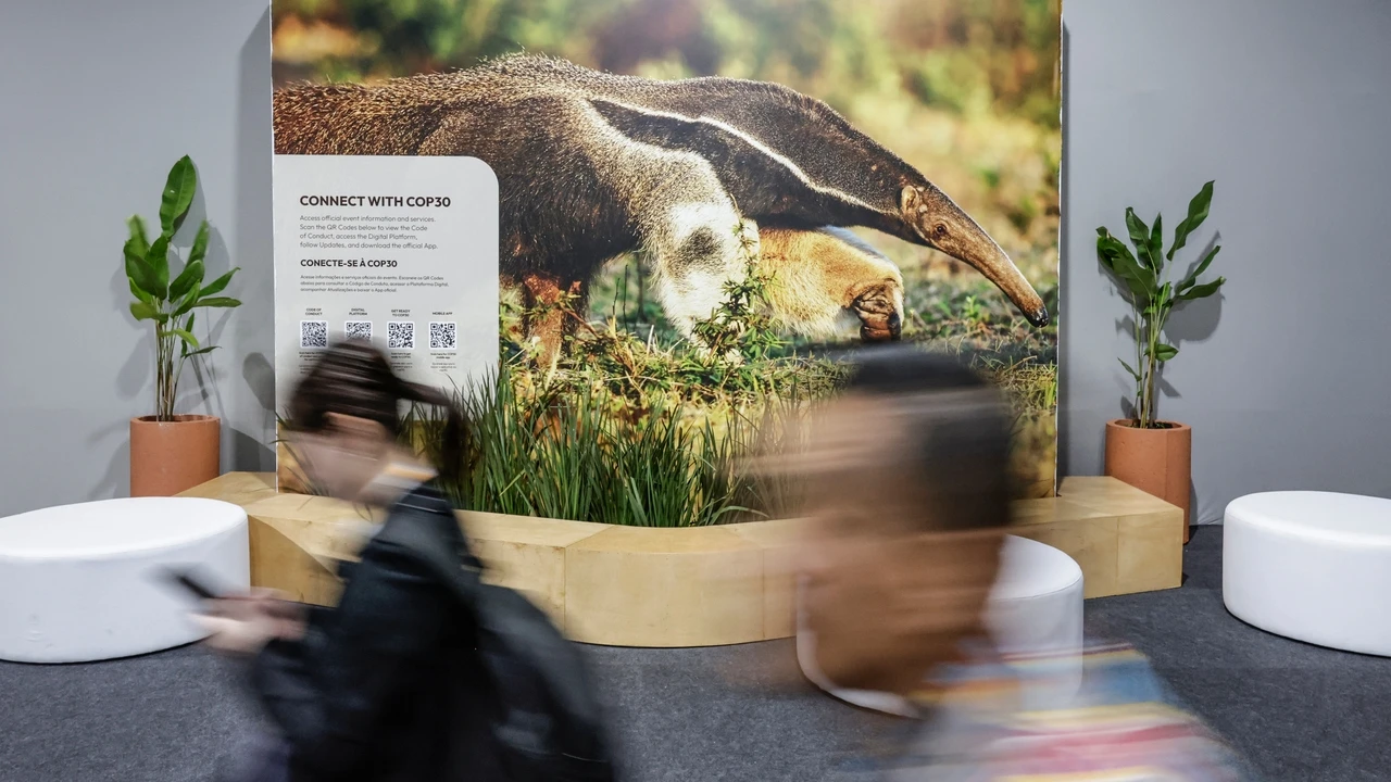 La COP30 intentará poner freno al negacionismo climático