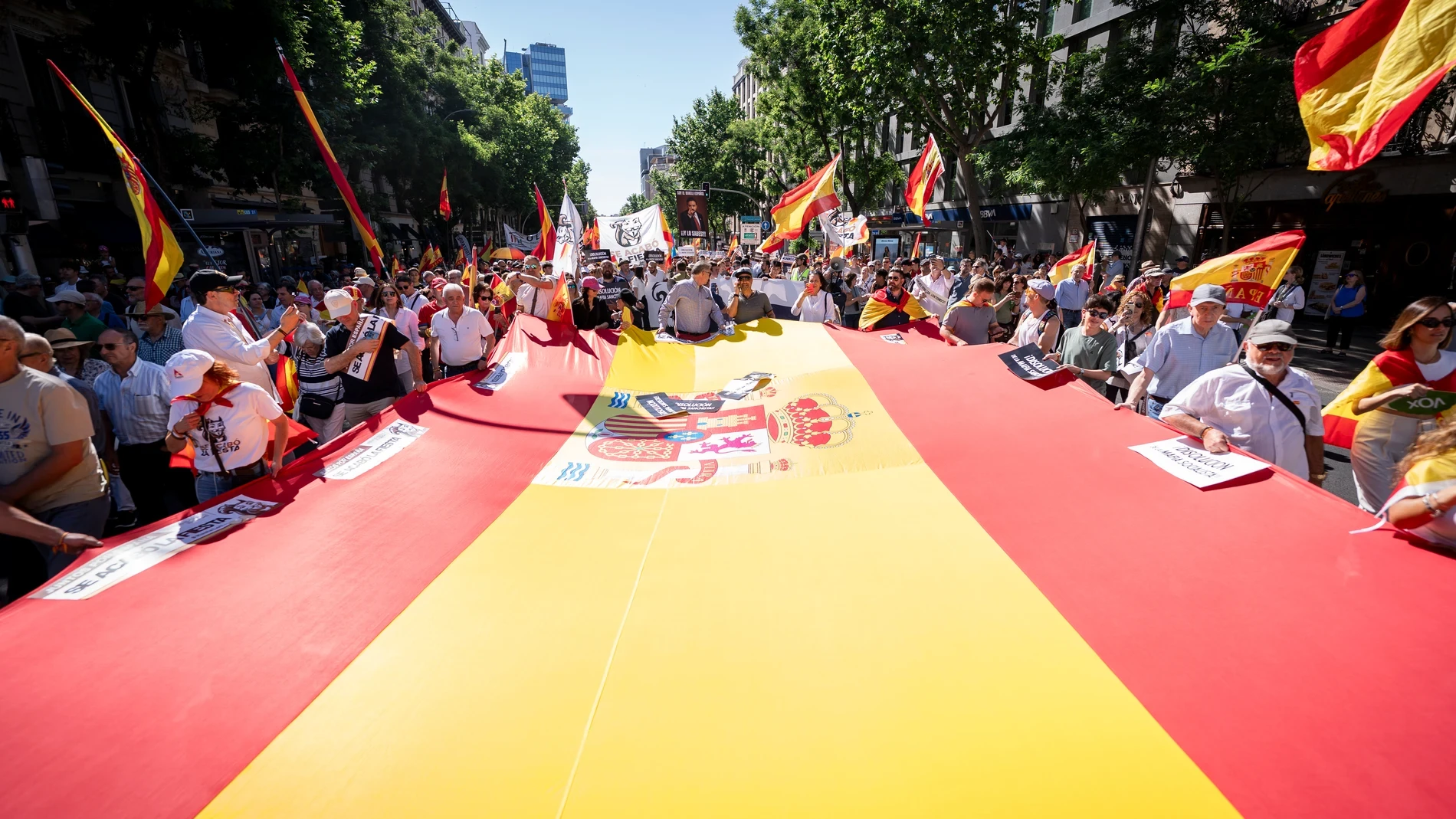 Multitudinaria petición de dimisión