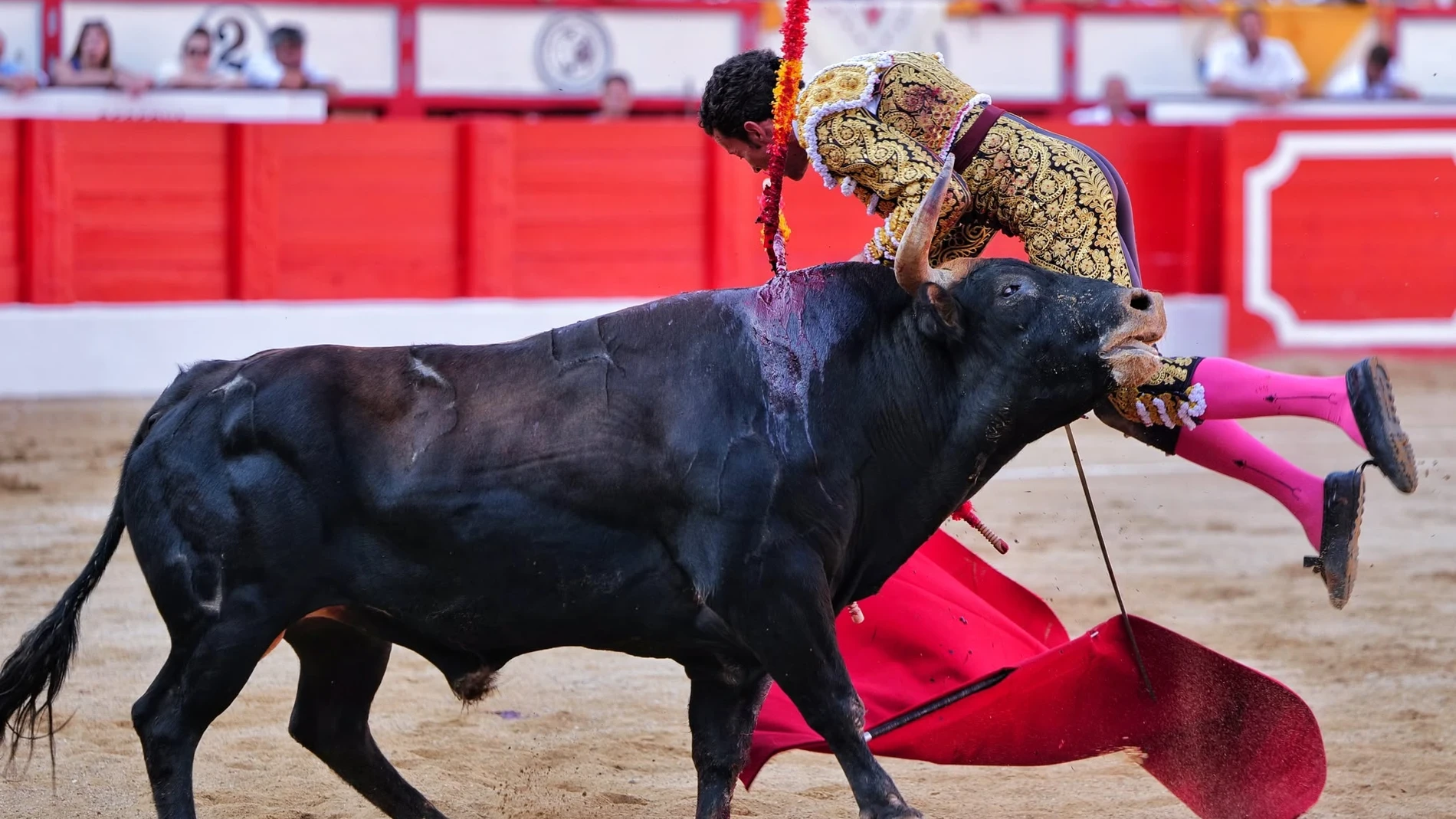 David de Miranda y el intento de salvar lo insalvable