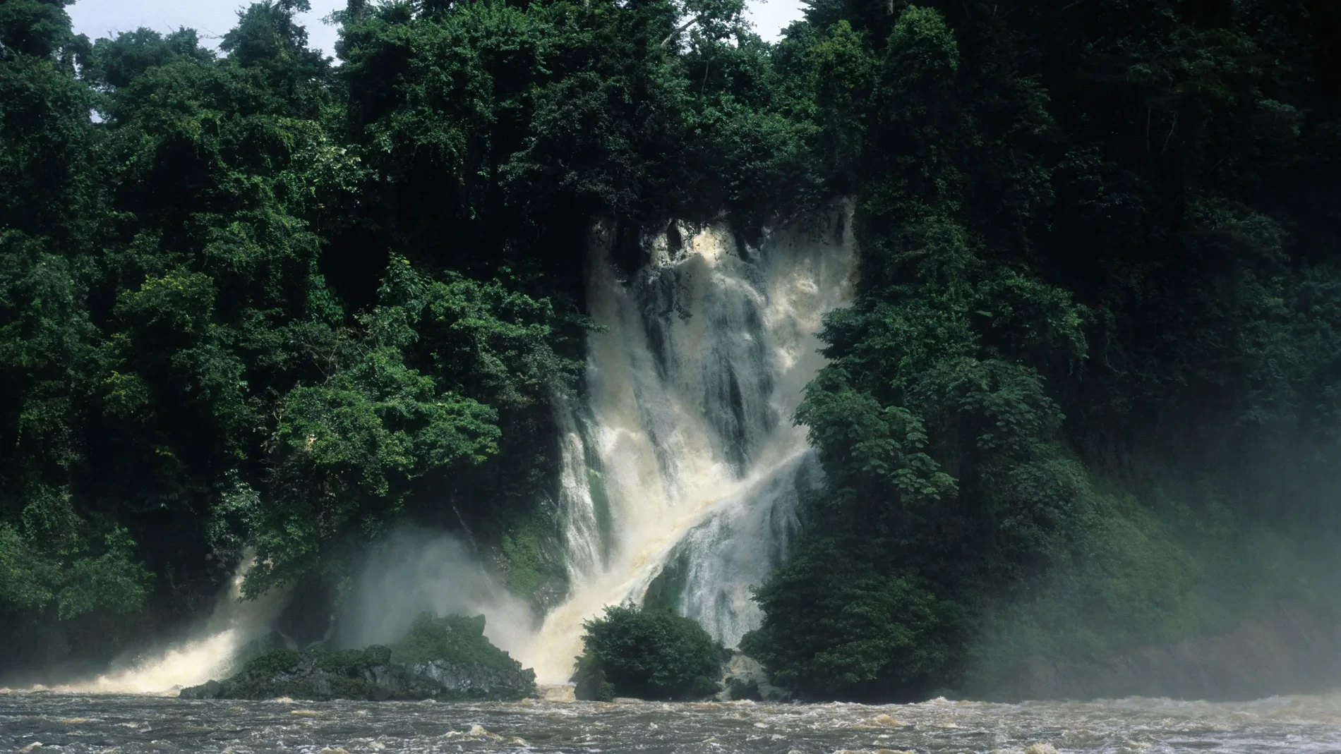 Descubriendo el bosque y la selva de Guinea Ecuatorial