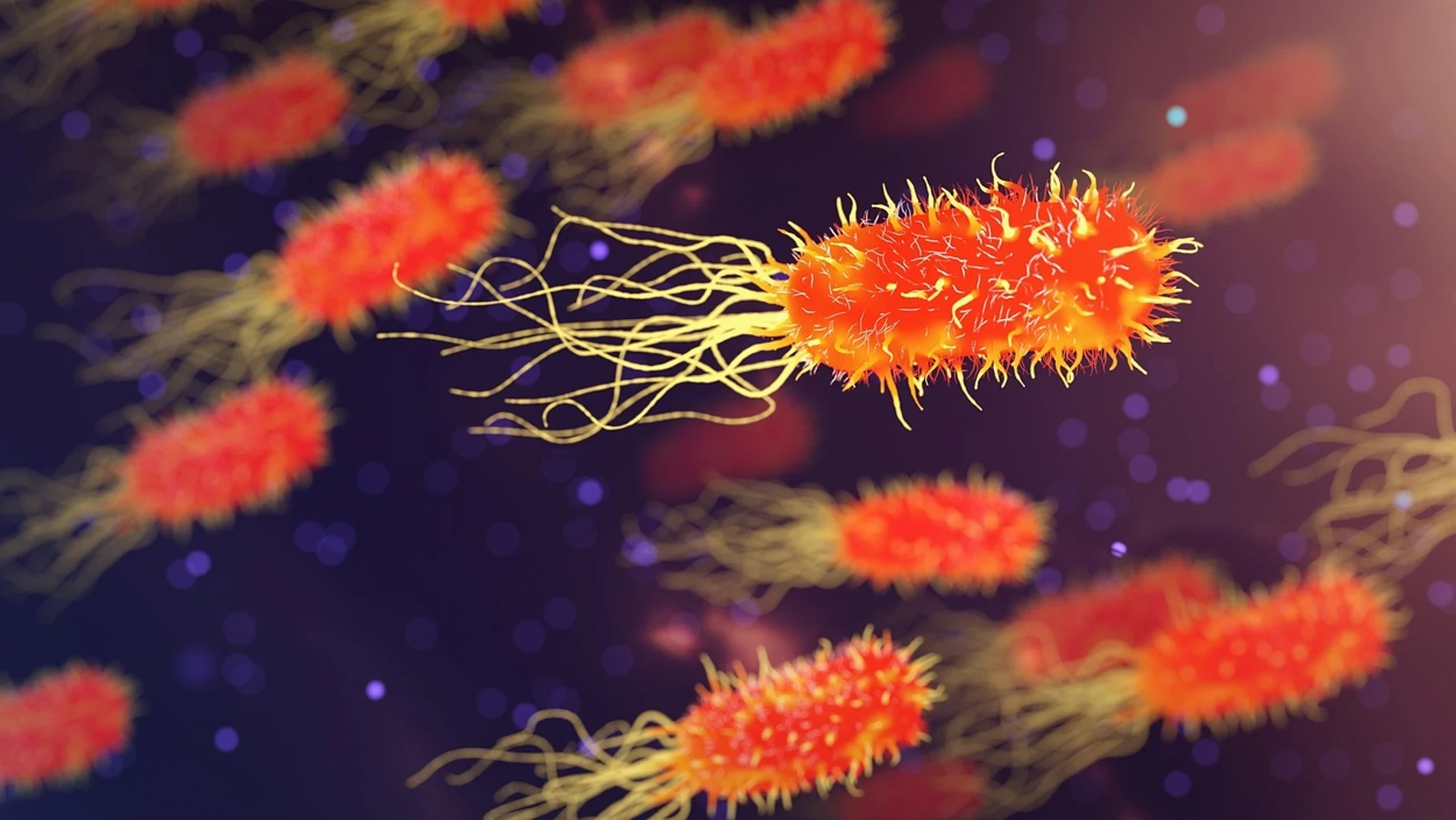 Descubren una nueva forma de enfrentarnos a superbacterias que amenazan la medicina