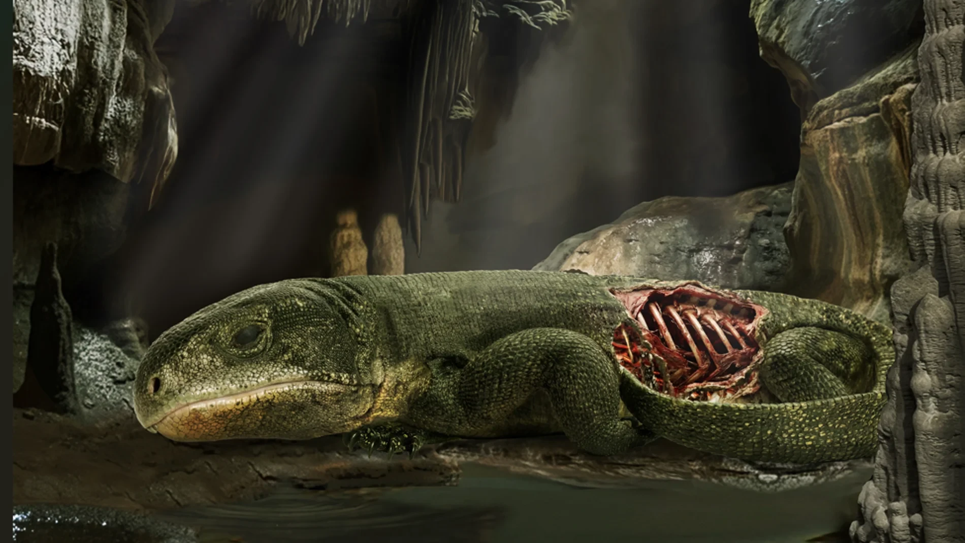 Este fue el primer animal del planeta que respiró