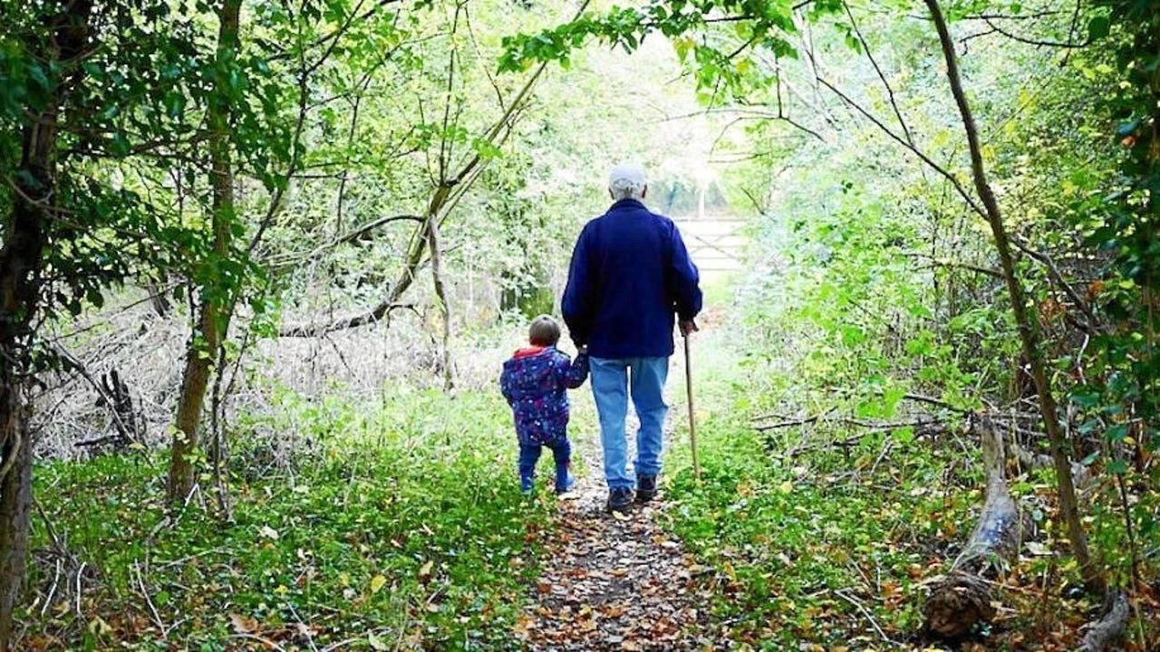 Los jóvenes pagarán la tasa de reposición de las pensiones más elevada de la Unión Europea: 77,4% frente al 44,5%