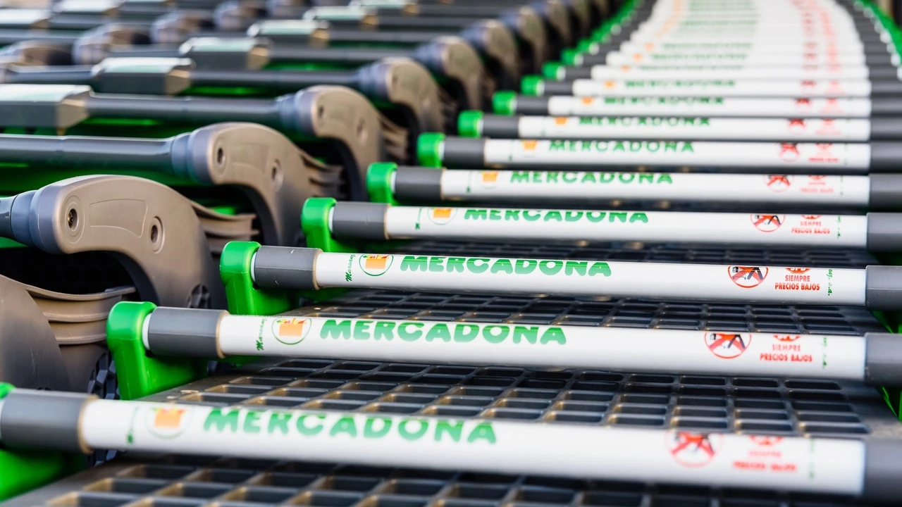 La advertencia de Mercadona sobre su nuevo espray antiencrespamiento: el error que todas las personas cometen al aplicarlo