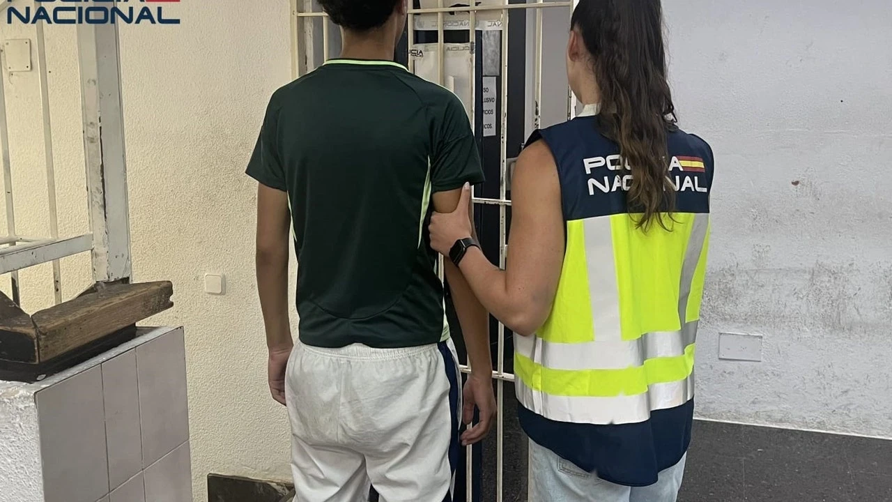 Un detenido por asaltar a personas de edad avanzada para robarles las cadenas de oro mediante tirón en Palma
