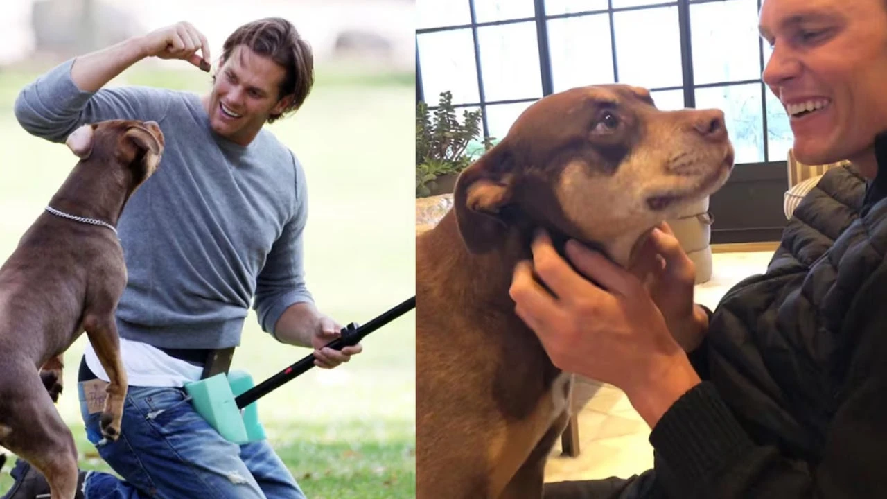 La leyenda de la NFL Tom Brady revela haber clonado a su perro muerto hace dos años