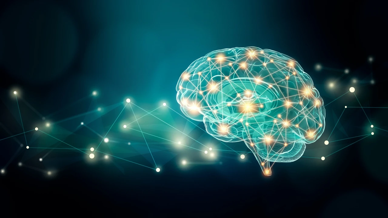 Una investigación española descubre qué predispone a sufrir alzhéimer o tumores cerebrales a partir de los 57 años