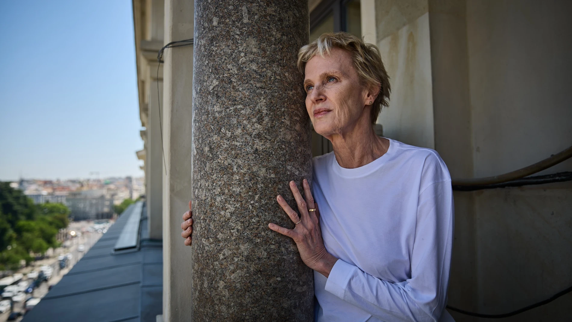 Siri Hustvedt: 