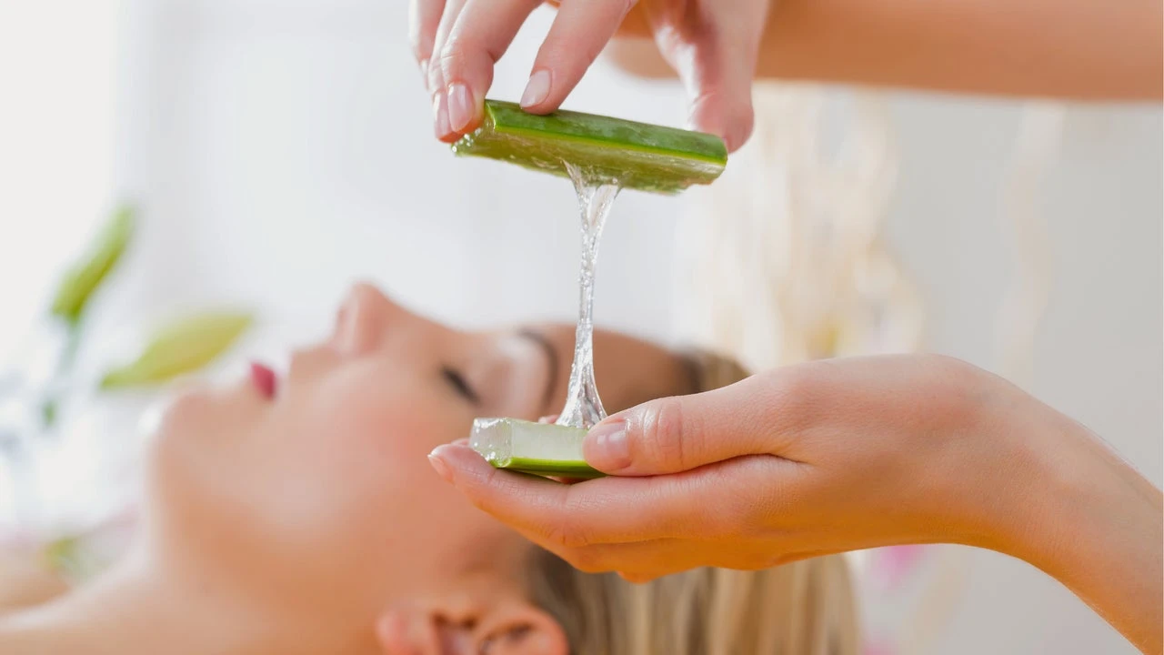 Beneficios del aloe vera en el cabello: para qué sirve y cómo aplicarlo