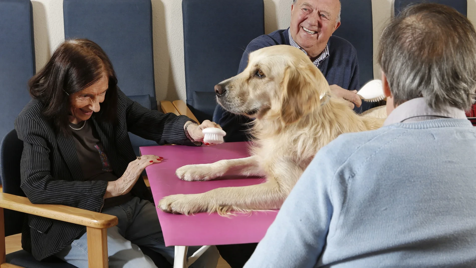 Estos son los beneficios de las terapias con animales de compañía para la rehabilitación de personas mayores