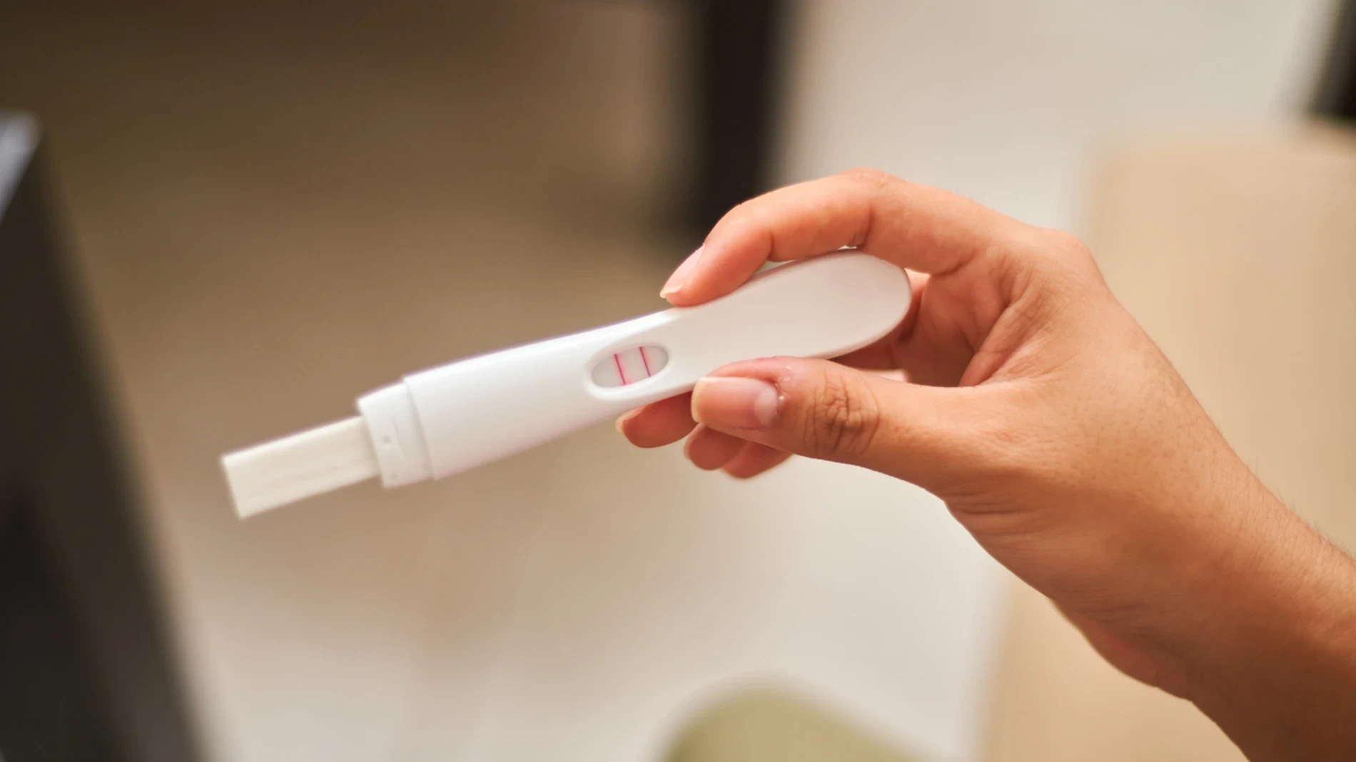 La dieta y la microbiota influyen en el éxito de la inseminación artificial