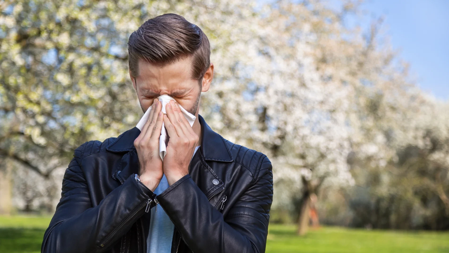 Así puedes diferenciar un resfriado de una alergia en plena primavera