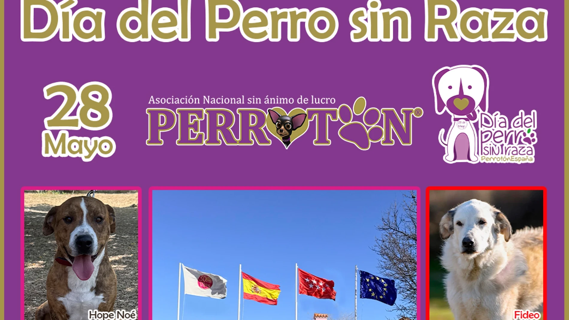 Una campaña da visibilidad a los perros de raza abandonados