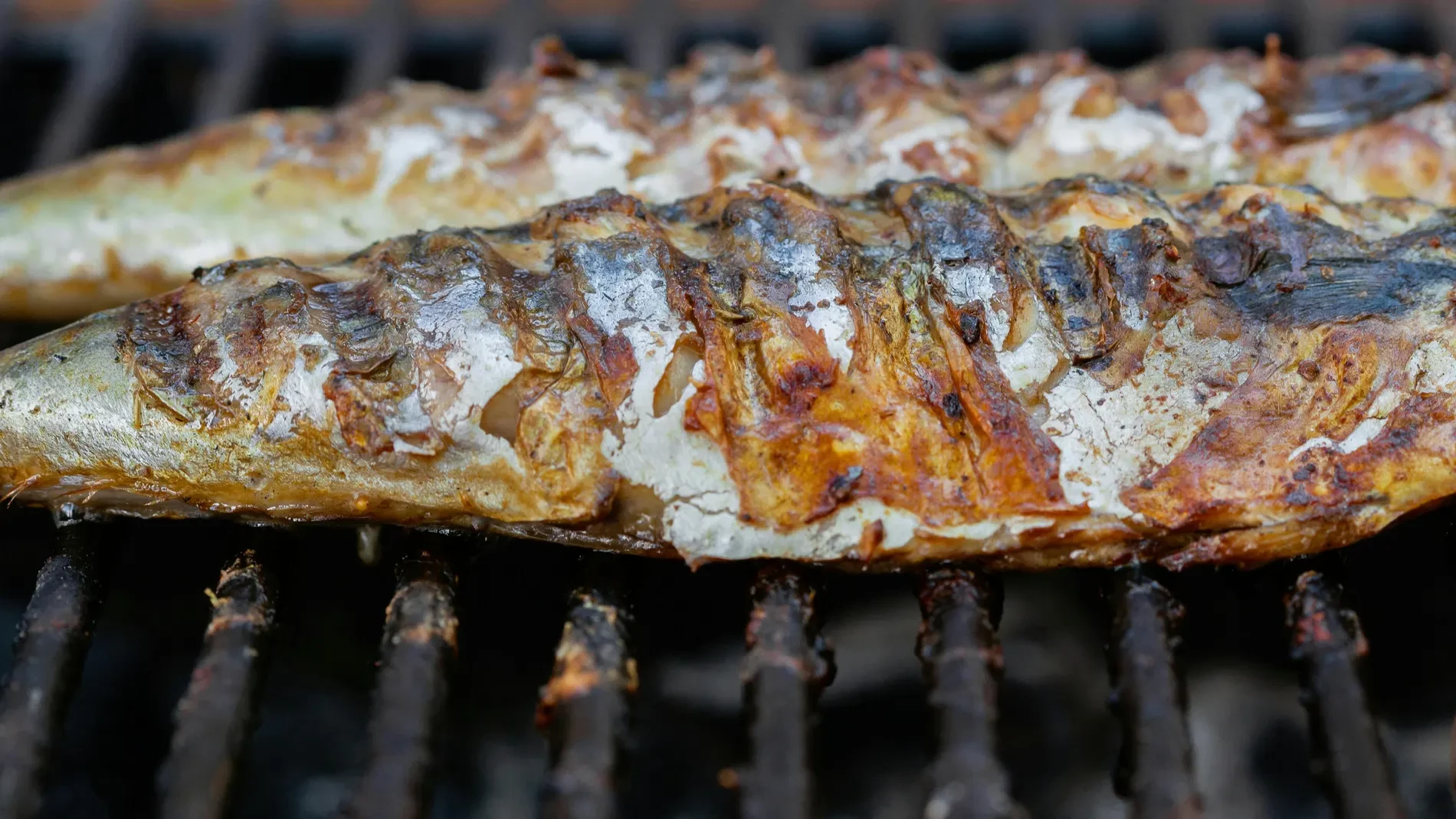 Los tres pescados que mejor quedan a la brasa, según un pescadero: “Son ideales”
