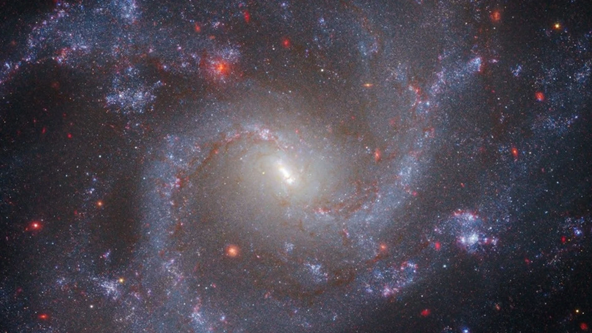 Hace unos años, los astrónomos captaron una señal única procedente del espacio: resulta contener un gran secreto