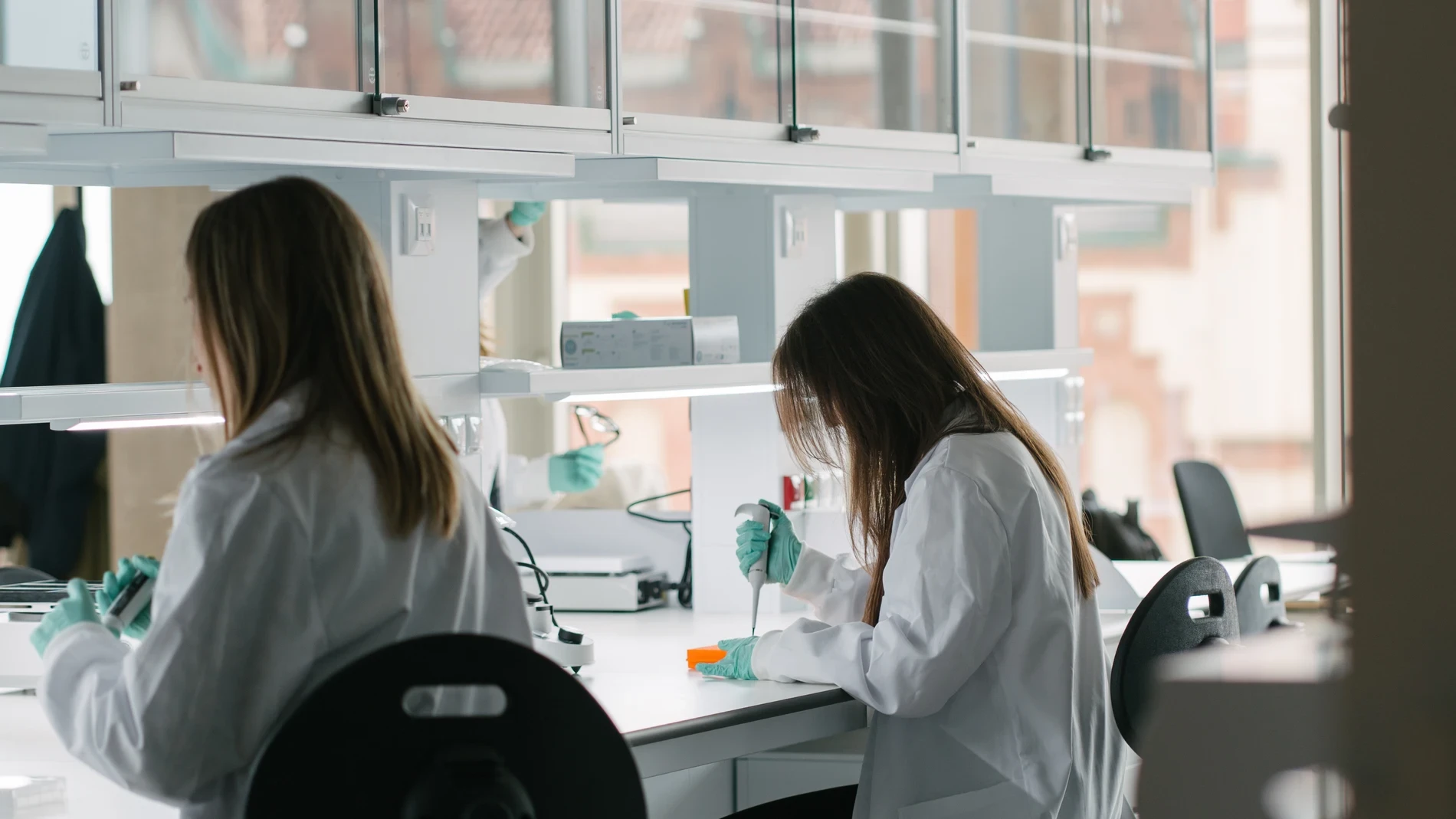 La inmunología o la disciplina que está rehaciendo el mapa de la biomedicina