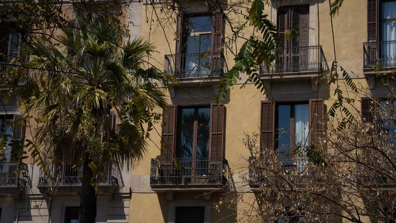 Una polaca que quiso rehacer su vida en Barcelona se va de España: 