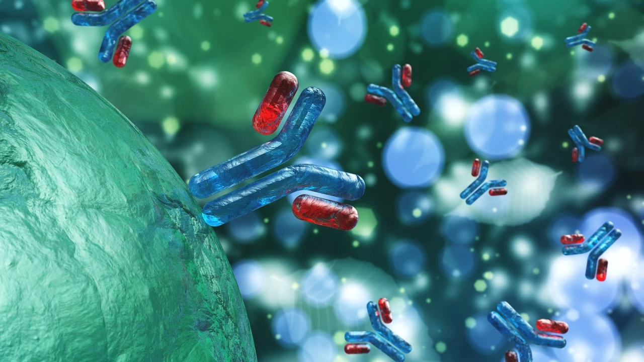 Así son los fármacos ADC que comienzan a demostrar eficacia en diferentes tipos de cáncer