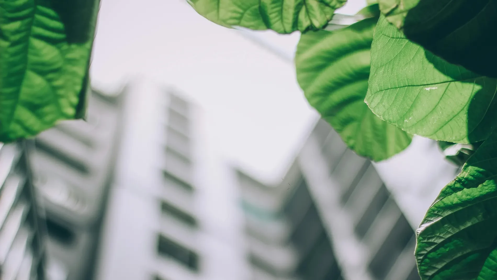 El 80% de los edificios en España son ineficientes energéticamente