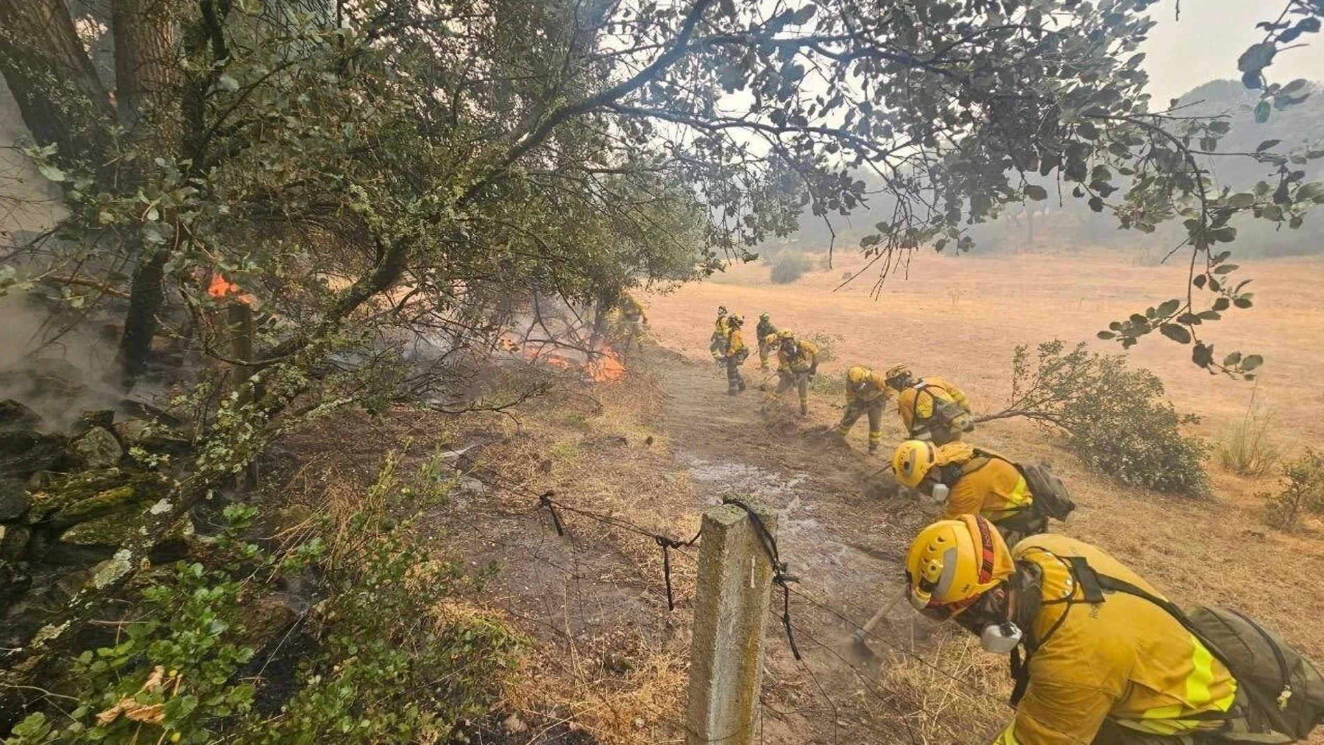 La tragedia de los incendios, cambio climático y mentiras