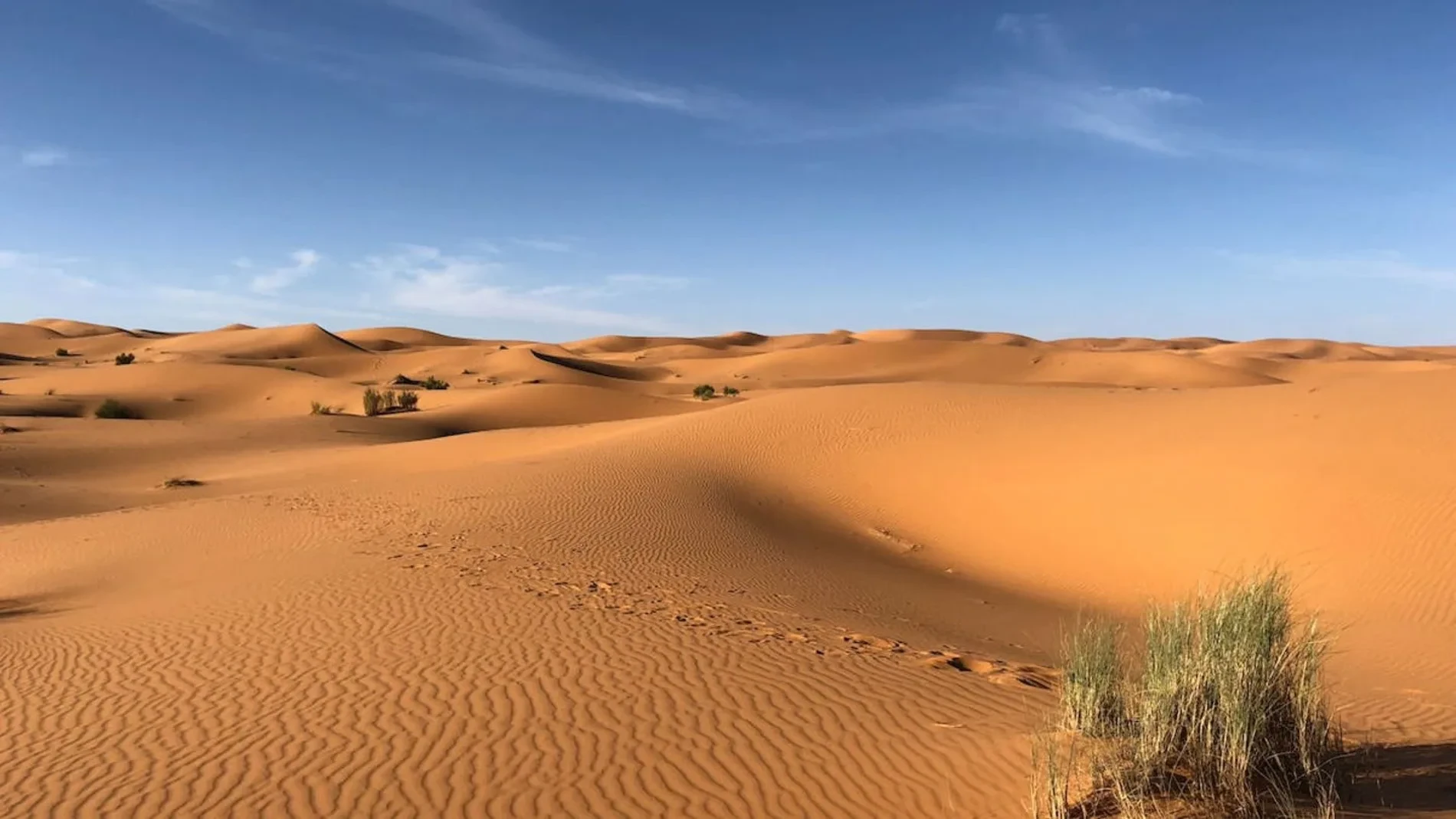 La NASA descubre un “milagro verde” en pleno desierto