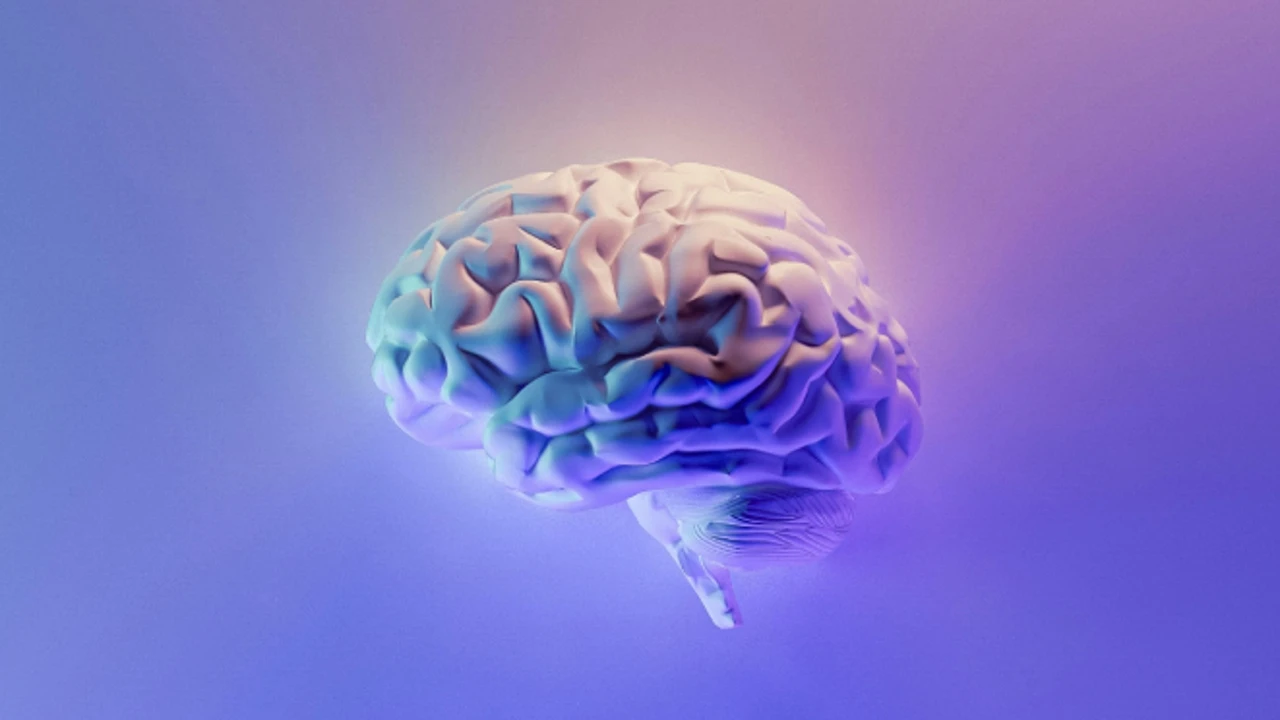 Explican como actúan los psicodélicos para aliviar los síntomas relacionados con el trauma