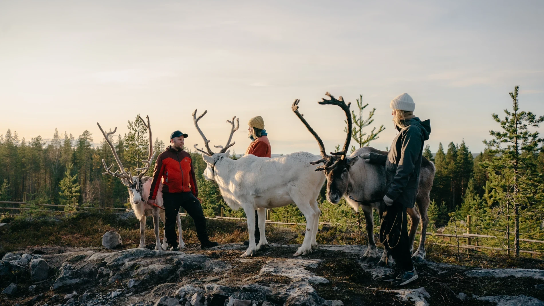 Finlandia lanza la experiencia gastronómica más extrema del mundo: solo 16 personas podrán probarla
