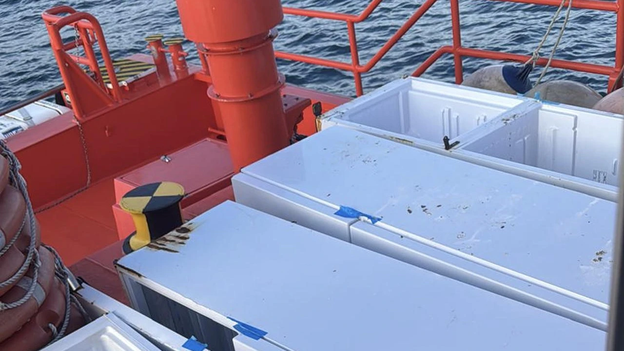 Una familia se muda a un contenedor marítimo para ahorrar: este gasto inesperado se lo impide