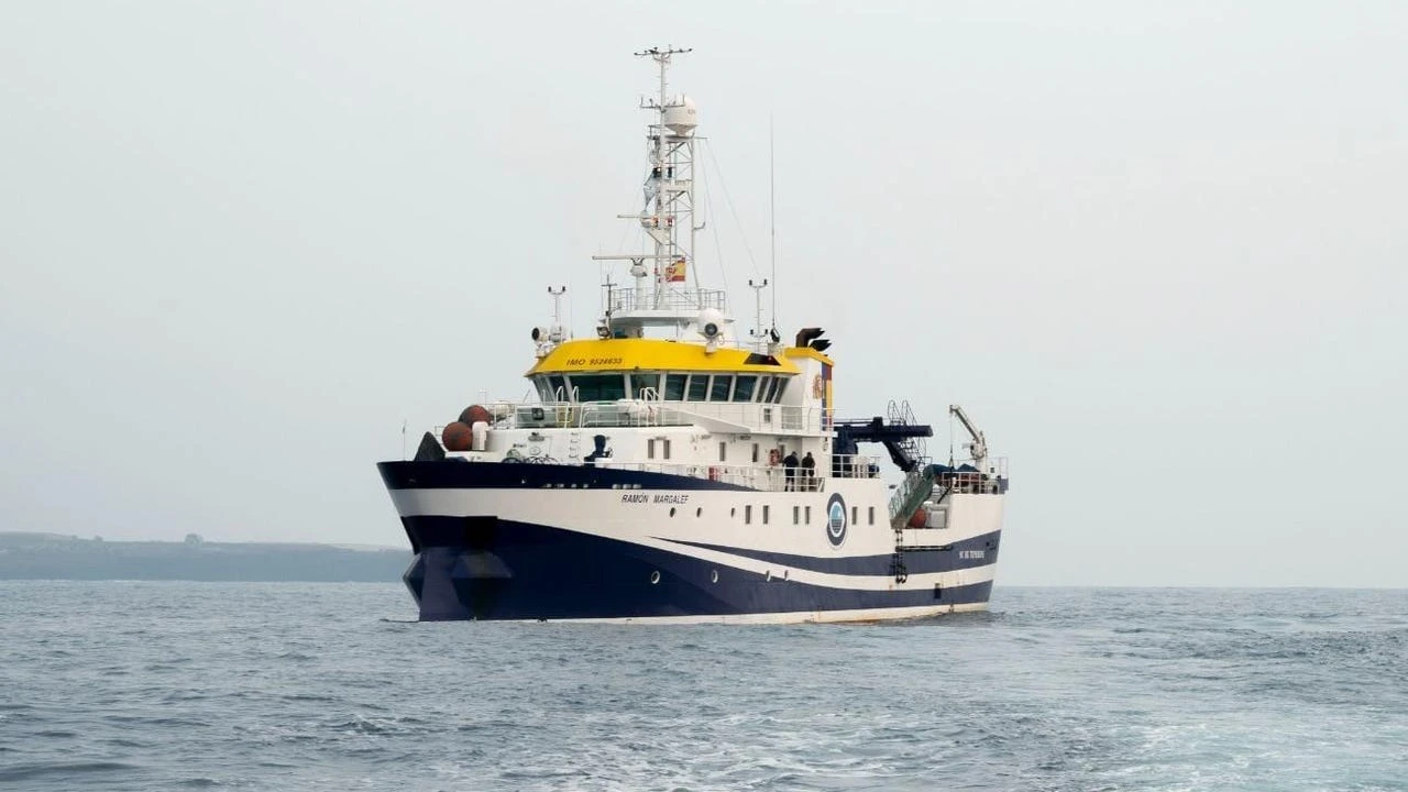 Ni con los brazos ni con las piernas: un luchador egipcio arrastra un barco de 700 toneladas…¡con sus dientes!
