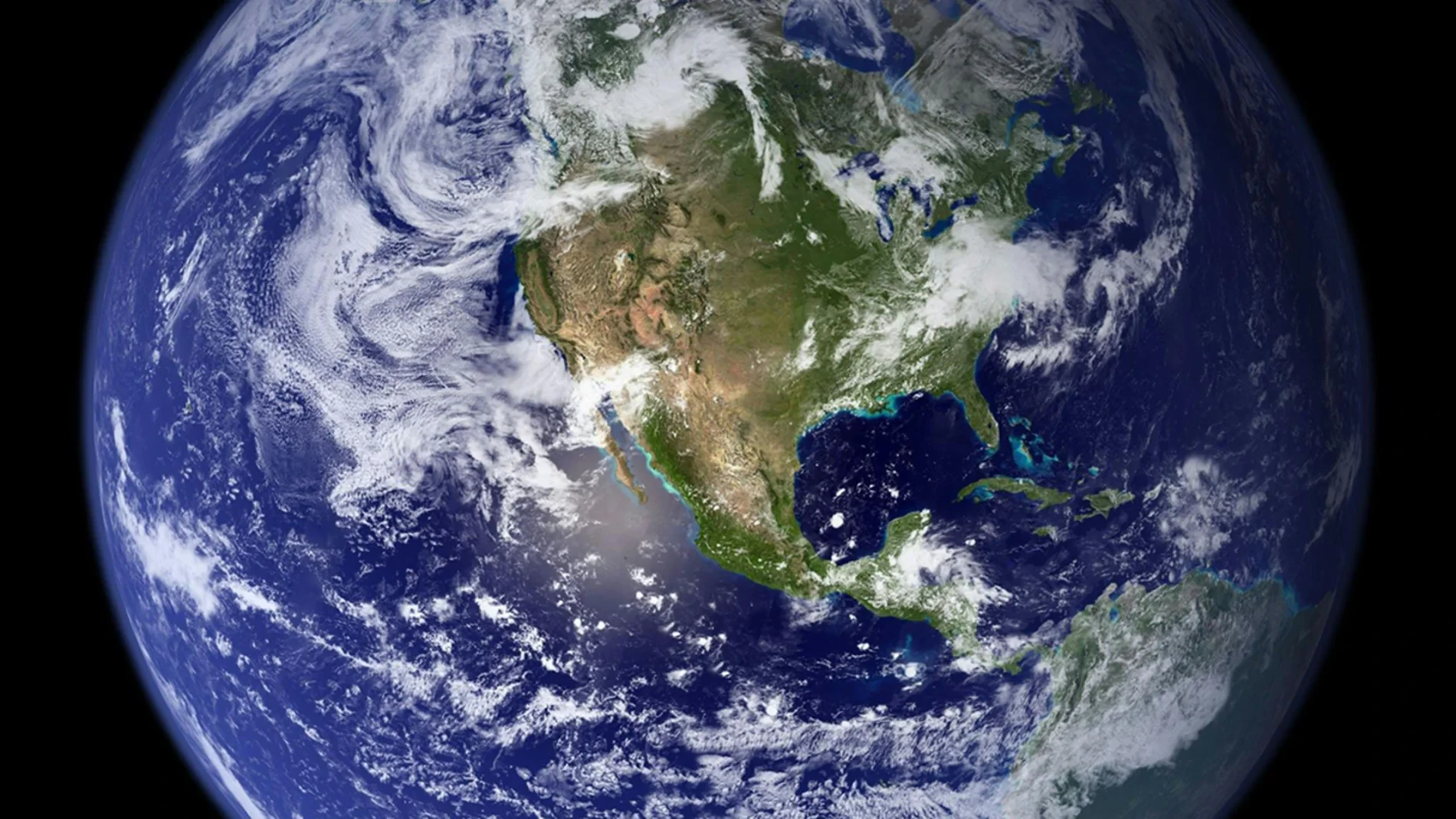 Un hallazgo en Canadá sacude la historia de la Tierra: la extinción del Ediacárico podría haber sido mucho más brutal de lo pensado