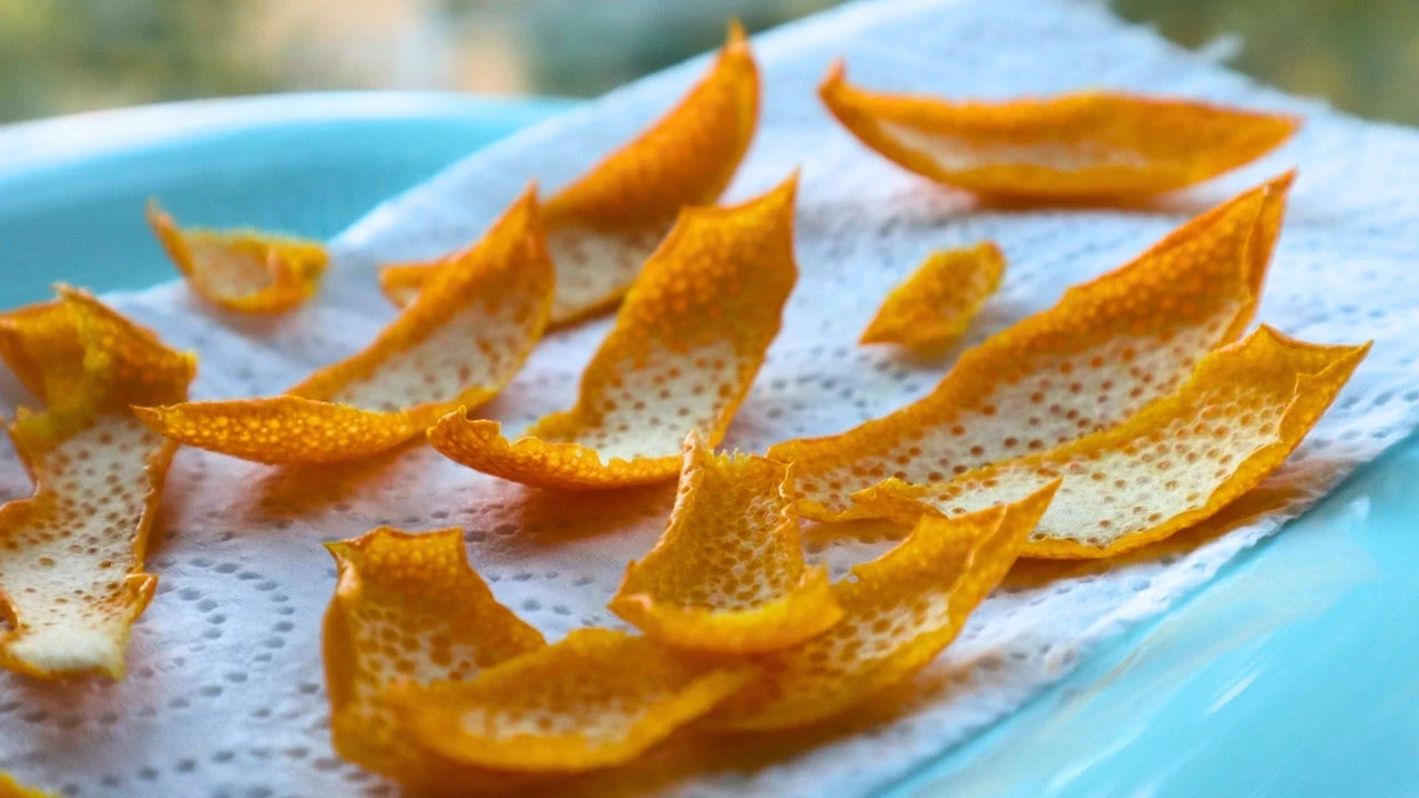 Cáscaras de cítricos secas: 5 usos increíbles para aprovecharlas en cocina, hogar y bienestar