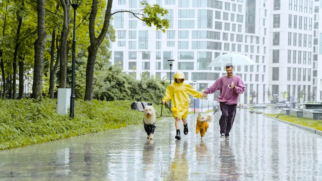 ¿Cómo te mojas más durante una tormenta, corriendo o andando?
