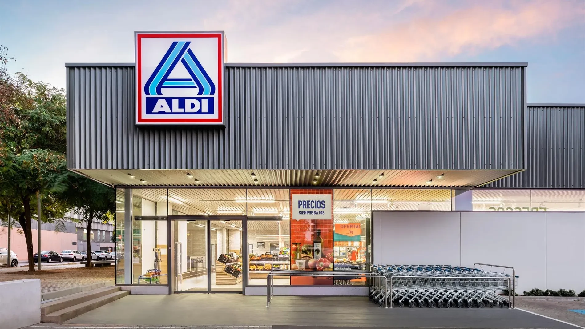 El helado definitivo de Aldi que arrasa este verano: es vegano, formato gigante y tiene el sabor que todos buscan por menos de nueve euros