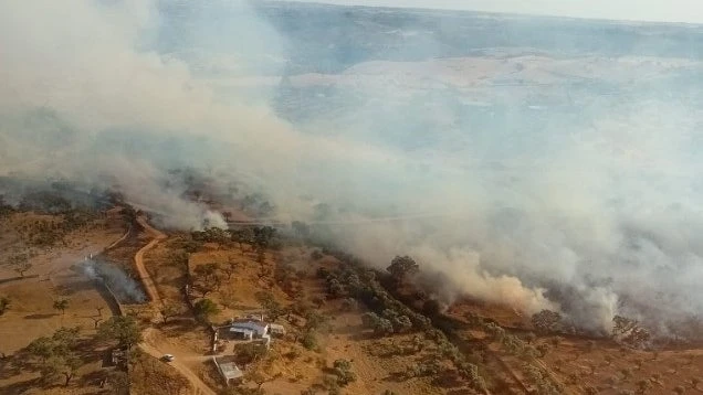 Un incendio en Huelva calcina 1.000 hectáreas y las autoridades movilizan medios aéreos y terrestres para combatir el fuego