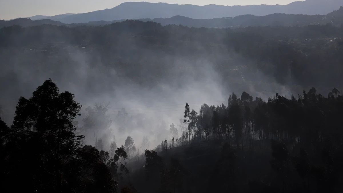 Incendios activos en España: el fuego ha afectado 120 hectáreas en Vilardevós