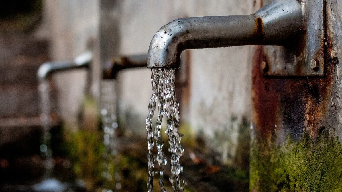 Muere una niña de 9 años al ser atacada por sus perros cuando iba a cerrar el agua