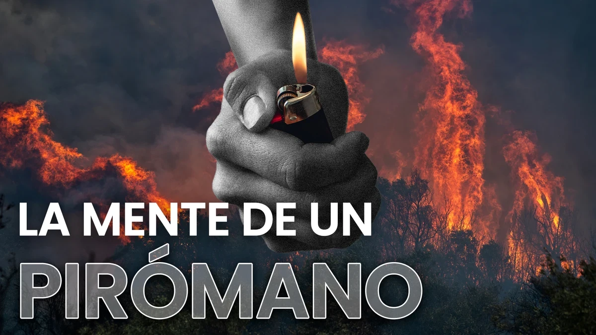 Joven, con baja autoestima e impulsivo: así es el perfil psicológico del pirómano