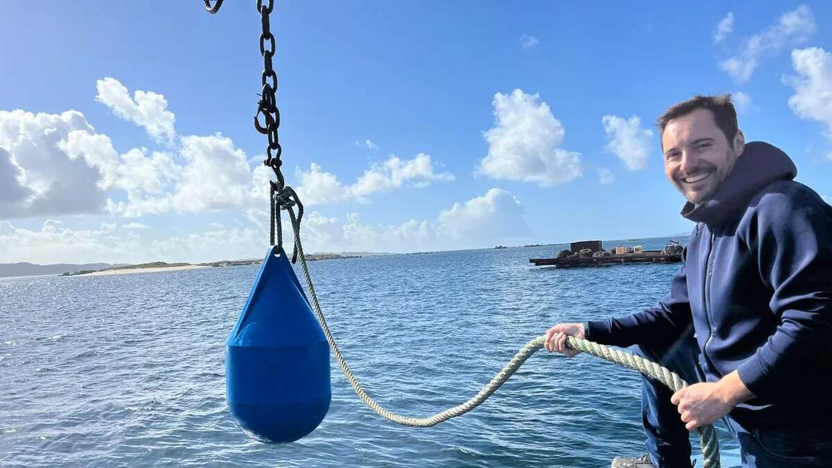 Algas comestibles cultivadas en Galicia abastecerán los mercados europeos