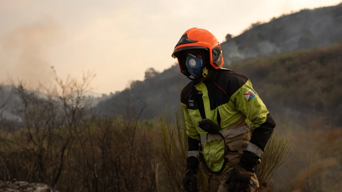 El Seprona rastrea los incendios como crímenes: ya hay 45 detenidos y 133 investigados