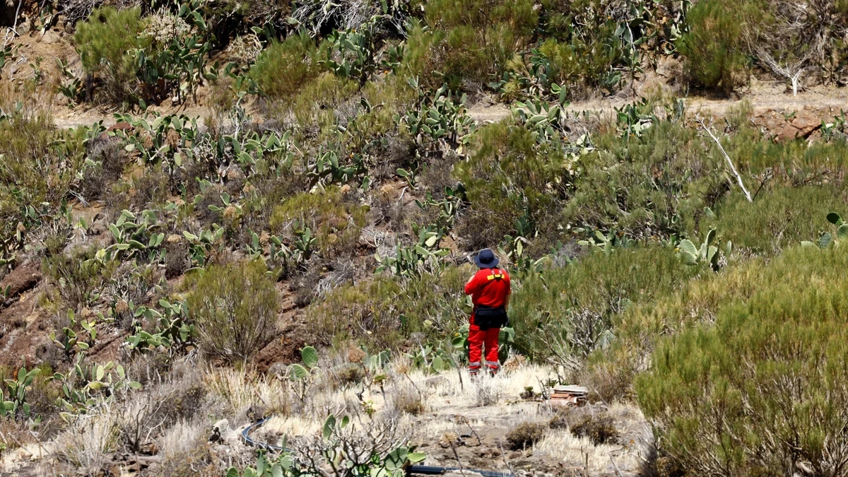 El cadáver hallado en Tenerife es el del británico Jay Slater: cayó en una zona rocosa y murió por politraumatismo