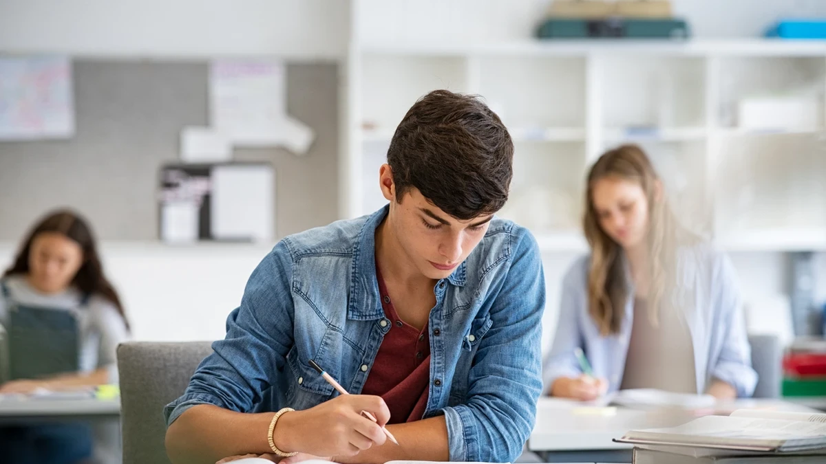 PAU 2025: las carreras universitarias con más salidas y mejores sueldos tras la nueva Selectividad