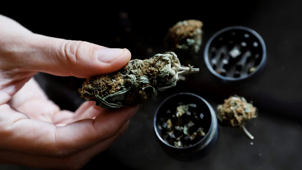 El alcalde de Londres respalda legalizar la posesión de cannabis para uso personal