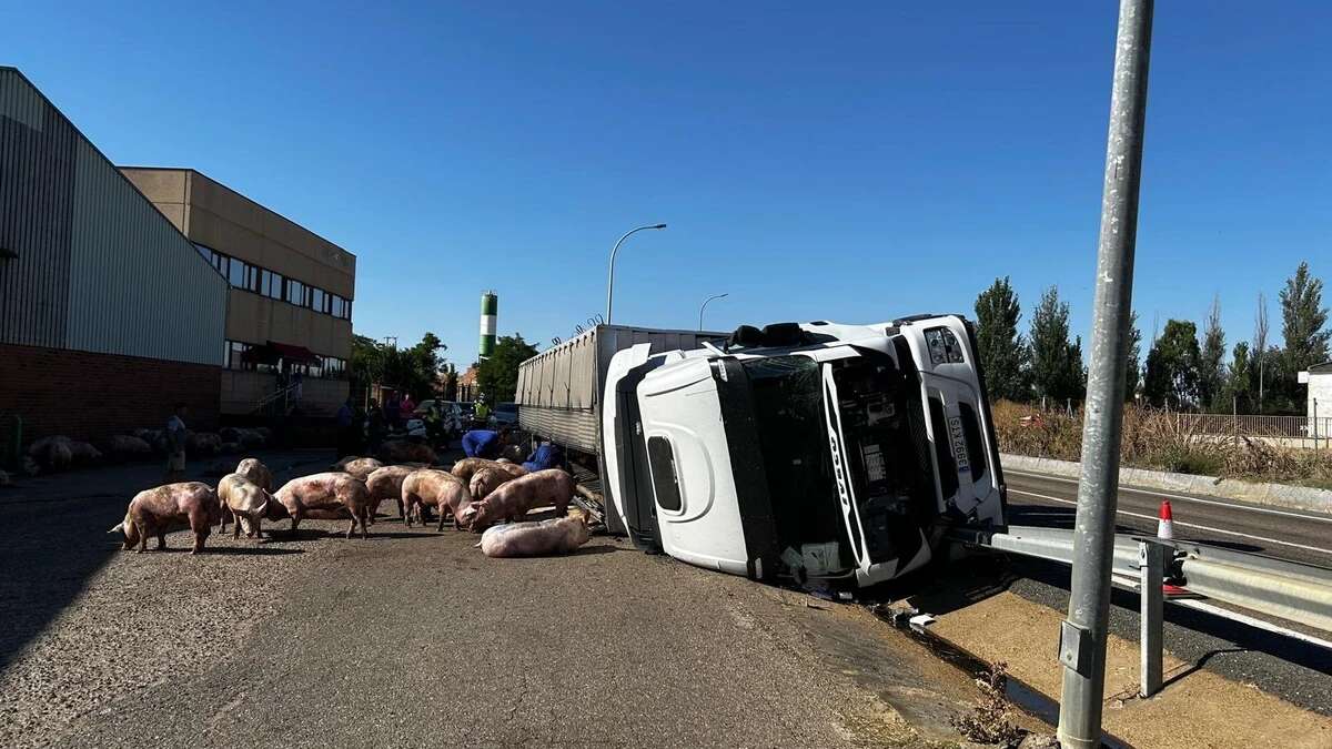 Diez investigados por fingir un accidente para estafar al seguro y a la Seguridad Social