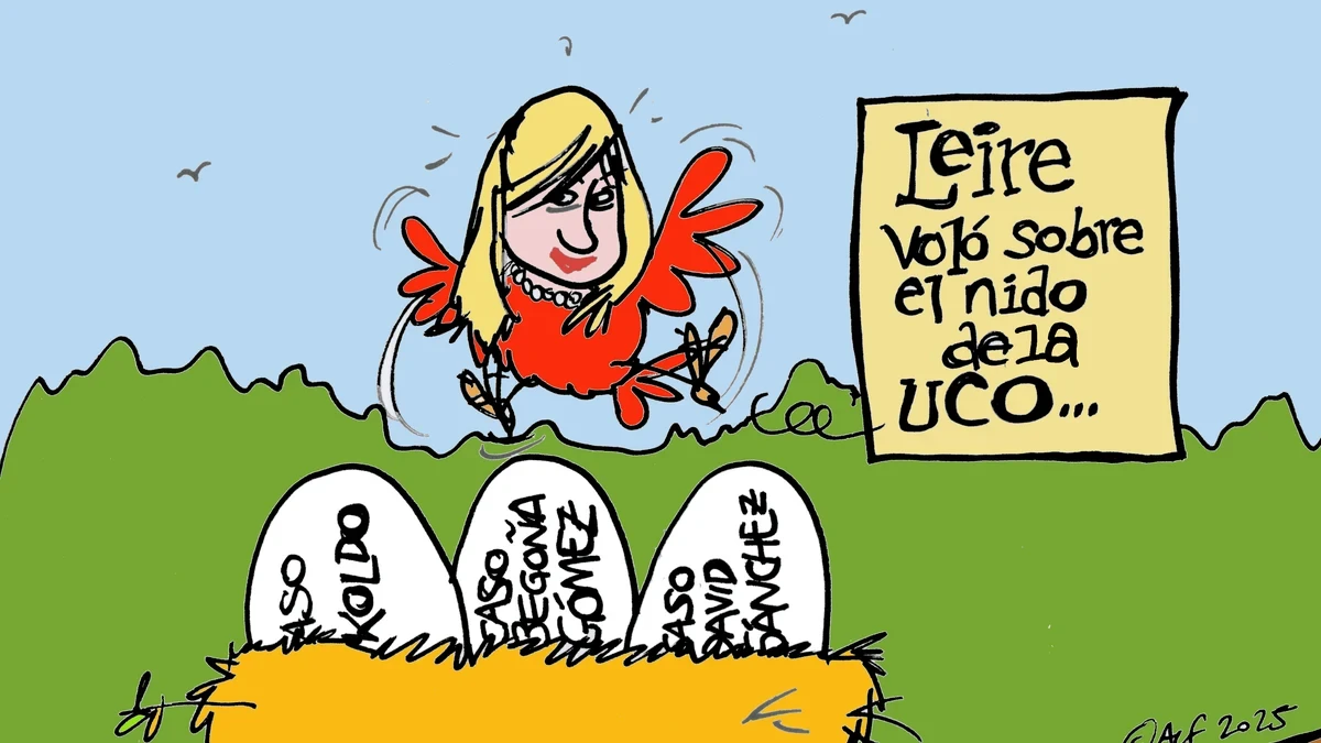 Leire Díez y los casos que rodean a la UCO, en la viñeta gráfica