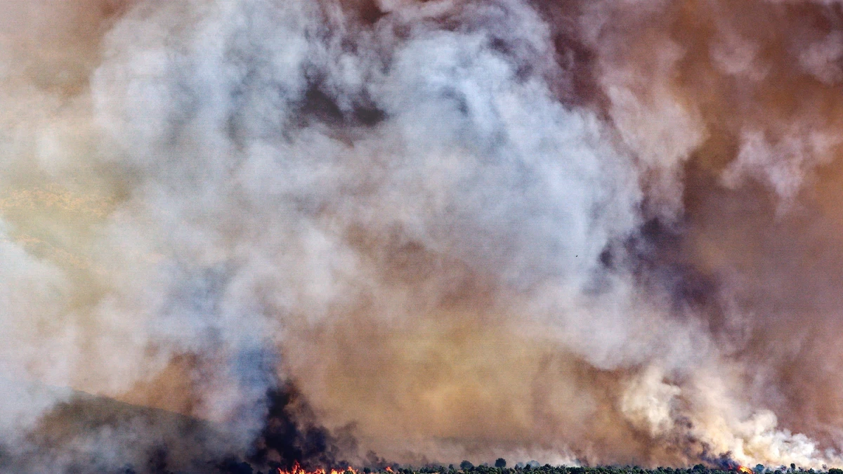 Última hora de los incendios activos en directo: el de Ibi está perimetrado mientras el de Navaluenga desaloja varias viviendas