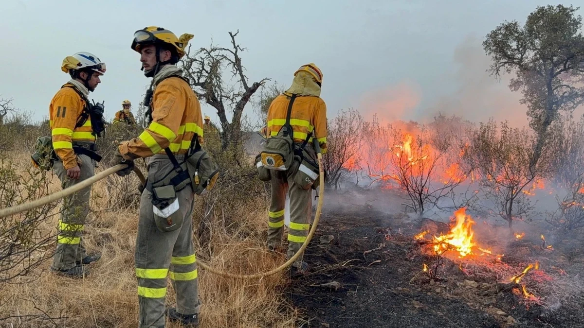 Las duras jornadas de bomberos y brigadistas: así se organizan los efectivos que hacen frente a las llamas